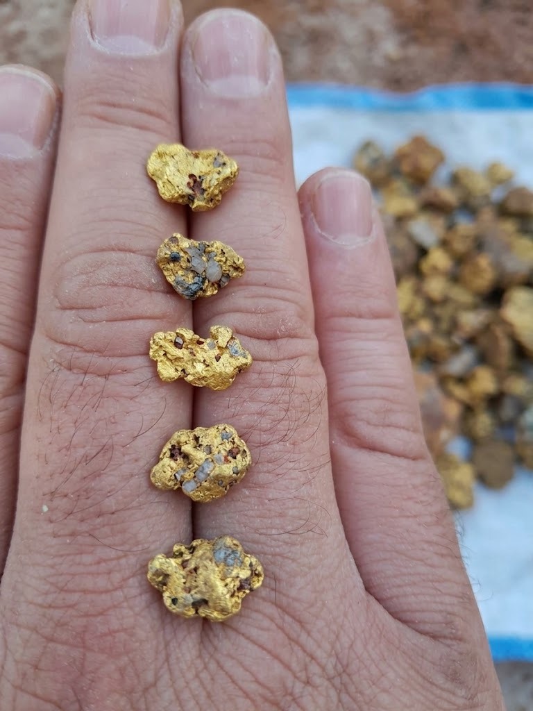 Alluvial Gold Nugget Grade Samples