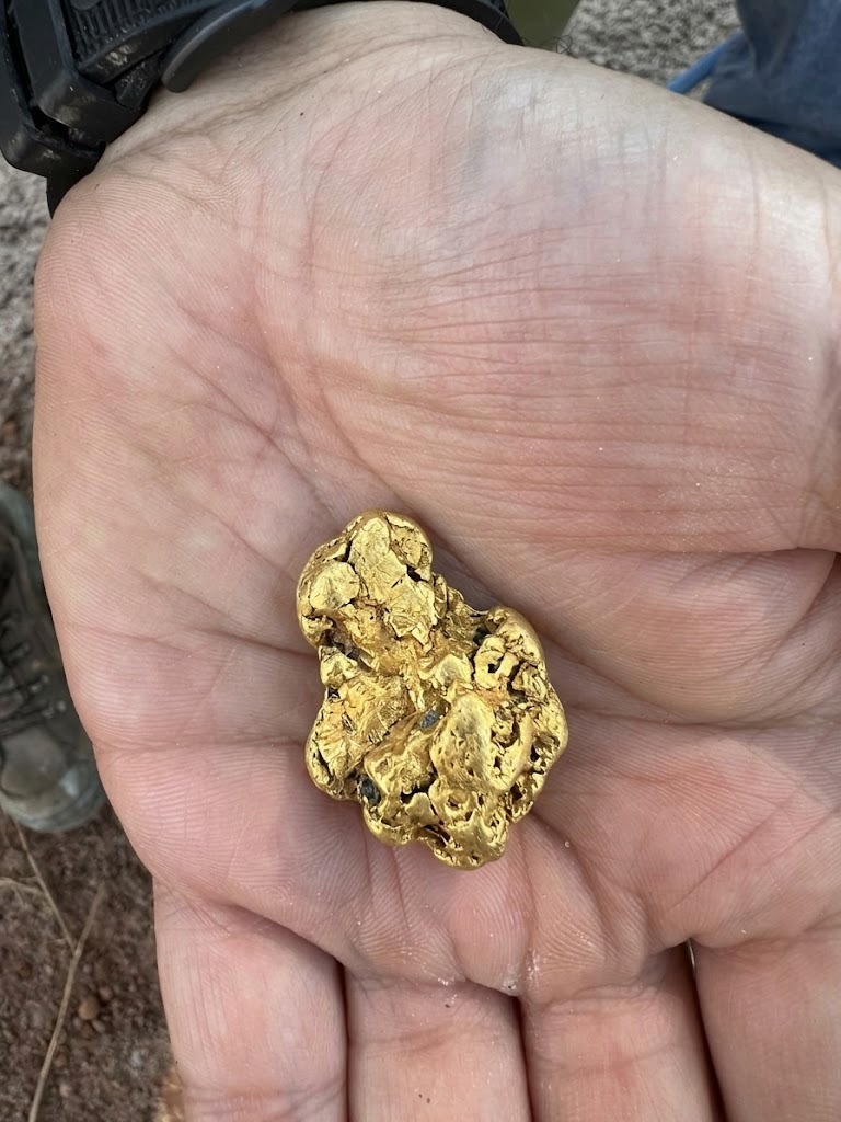 Solid Gold Nugget Field Specimen